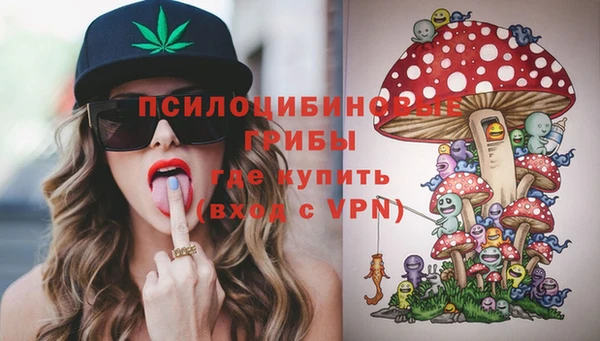 PSILOCYBIN Балабаново