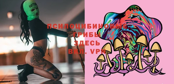 PSILOCYBIN Балабаново
